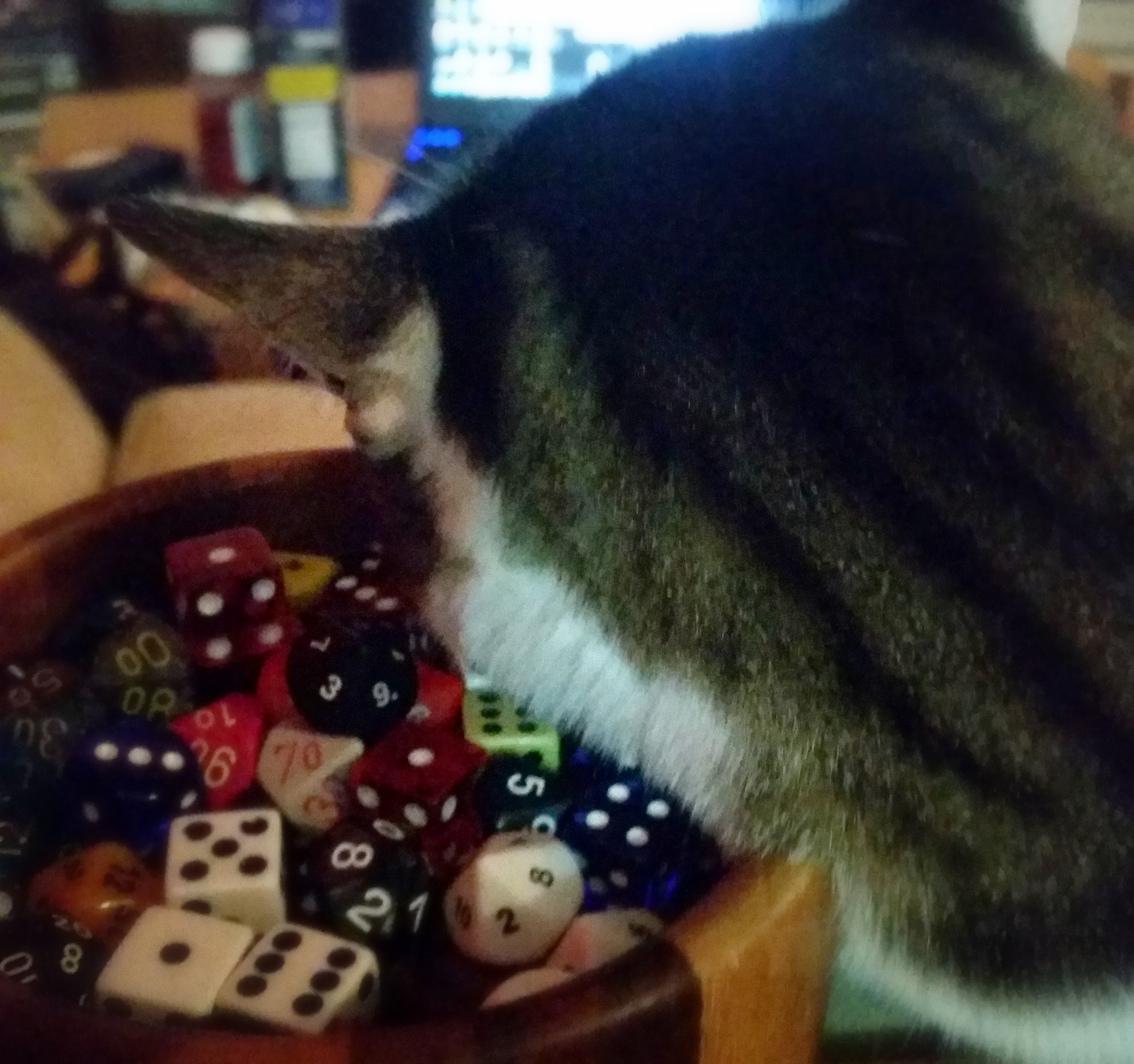 Fandible mascot Gopher naps on a comfortable pillow of dice